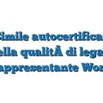 Fac Simile autocertificazione della qualità di legale rappresentante Word