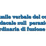 Fac Simile verbale del collegio sindacale sull’operazione straordinaria di fusione Word