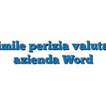 Fac Simile perizia valutazione azienda Word