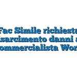 Fac Simile richiesta risarcimento danni al commercialista Word