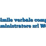 Fac Simile verbale compenso amministratore srl Word