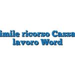 Fac Simile ricorso Cassazione lavoro Word