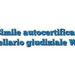 Fac Simile autocertificazione casellario giudiziale Word