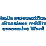 Fac Simile autocertificazione della situazione reddituale o economica Word